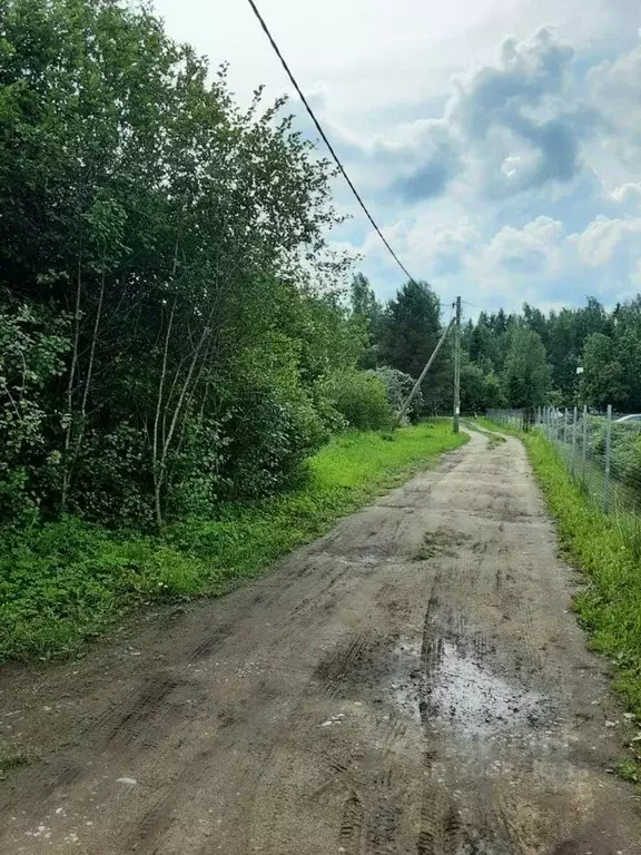 Участок в Ленинградская область, Волховский район, Кисельнинское ... - Фото 1