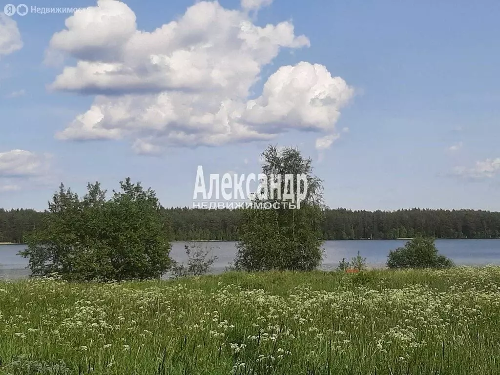 Участок в Громовское сельское поселение, посёлок Приладожское (12 м) - Фото 1