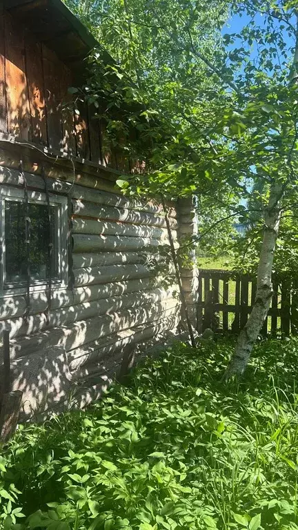 Участок в Томская область, Томский район, с. Батурино Лесная ул. (11.0 ... - Фото 1