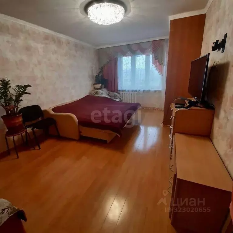 1-к кв. Тверская область, Тверь Дружинная ул., 14 (30.0 м) - Фото 1