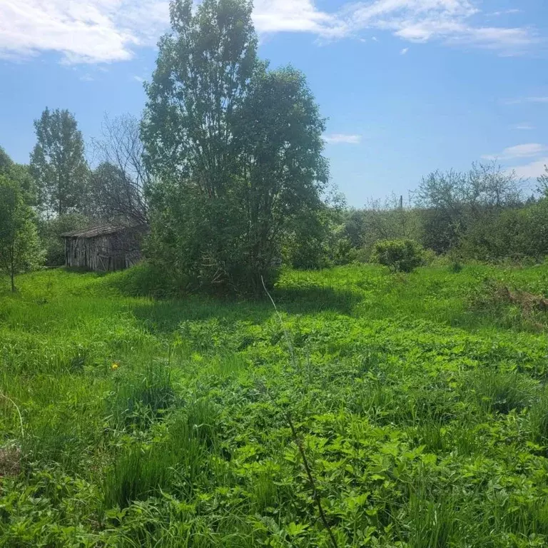 Участок в Карелия, Сортавальский муниципальный округ, Хелюля пгт ул. ... - Фото 0