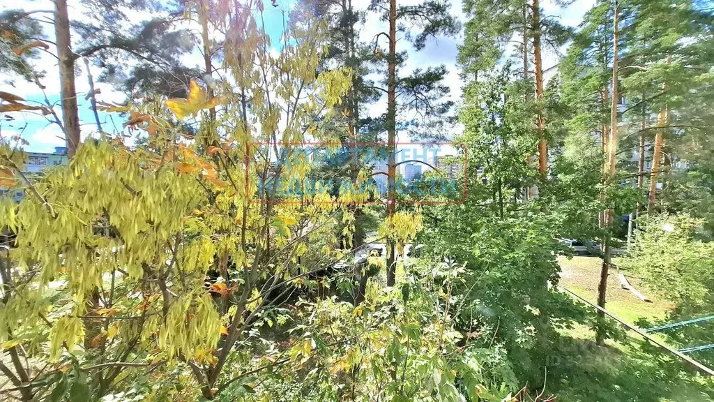 Участок в Ульяновская область, Димитровград ул. Тараканова, 135Б (5.9 ... - Фото 0