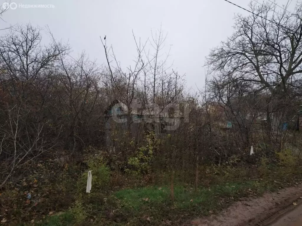 Участок в Новочеркасск, садовое товарищество № 1 РосНИИПМ (6.19 м) - Фото 1