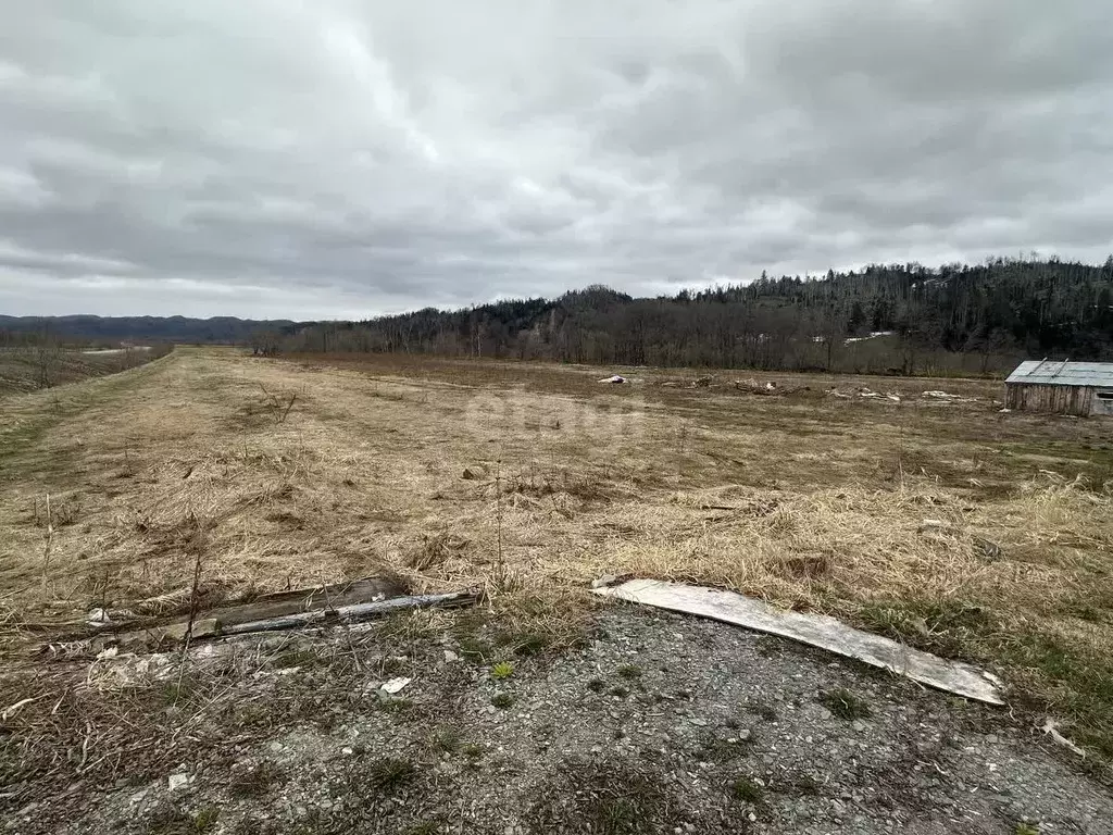 Участок в Сахалинская область, Анивский городской округ, с. Огоньки  ... - Фото 0