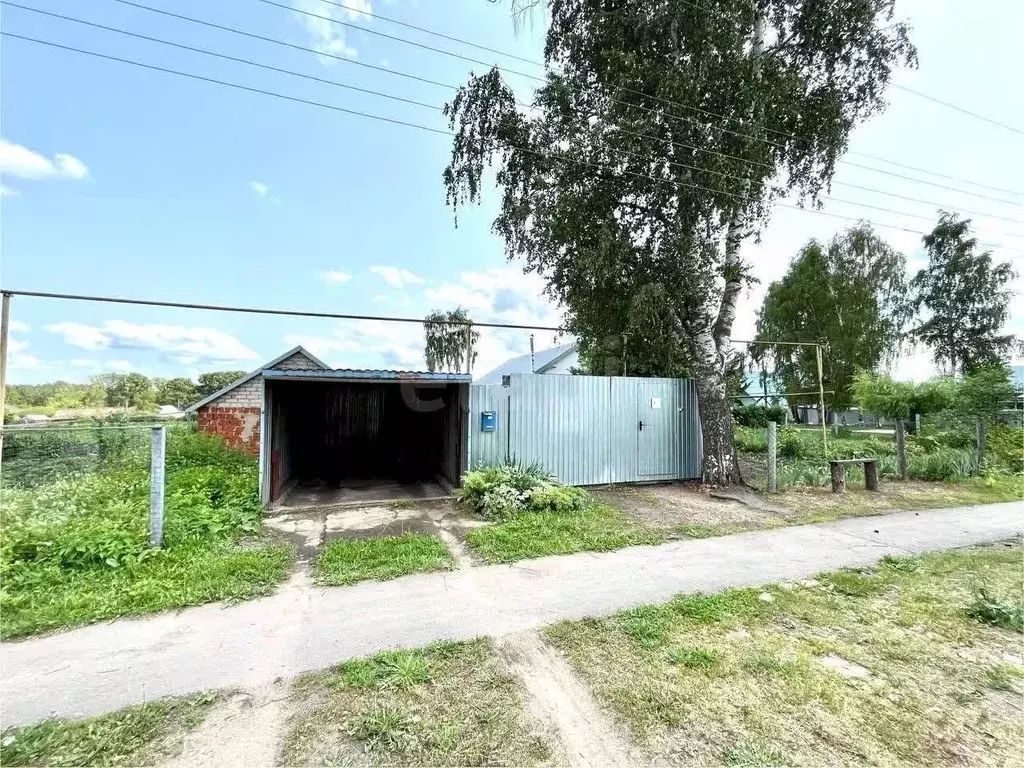 Дом в Мордовия, Ичалковский район, с. Кемля Ленинская ул., 63 (77 м) - Фото 0