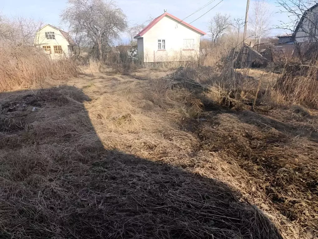 Участок в Ленинградская область, Выборг ул. Зеленой Горки, 10 (5.32 ... - Фото 1