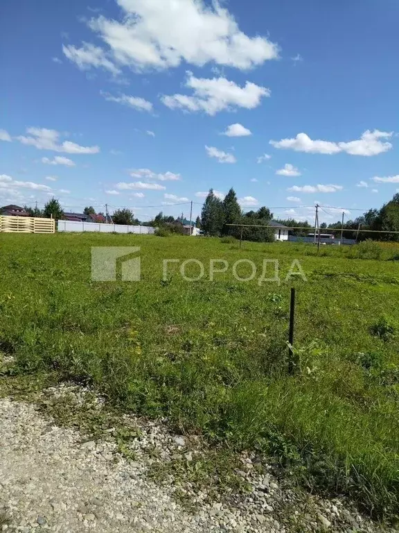 Участок в Новосибирская область, Коченевский район, Озерное ДНТ ул. ... - Фото 1