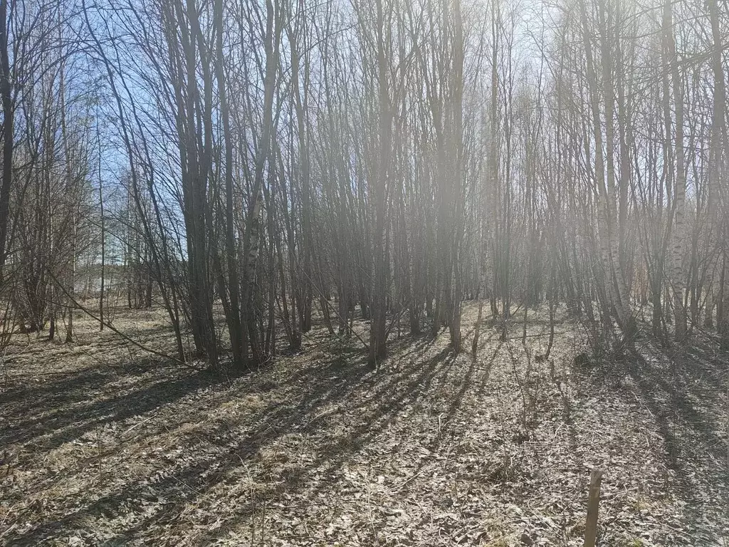 Участок в Московская область, Мытищи городской округ, пос. Менжинец  ... - Фото 0