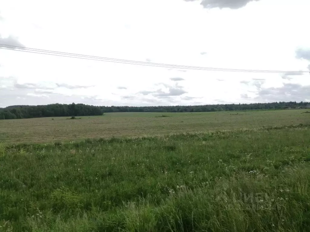 Участок в Московская область, Клин городской округ, д. Золино  (31.7 ... - Фото 0