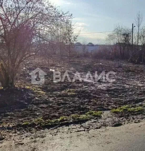 Участок в Калининград, улица Шишкина (6 м) - Фото 2