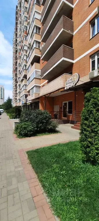 Помещение свободного назначения в Краснодарский край, Краснодар ул. ... - Фото 0