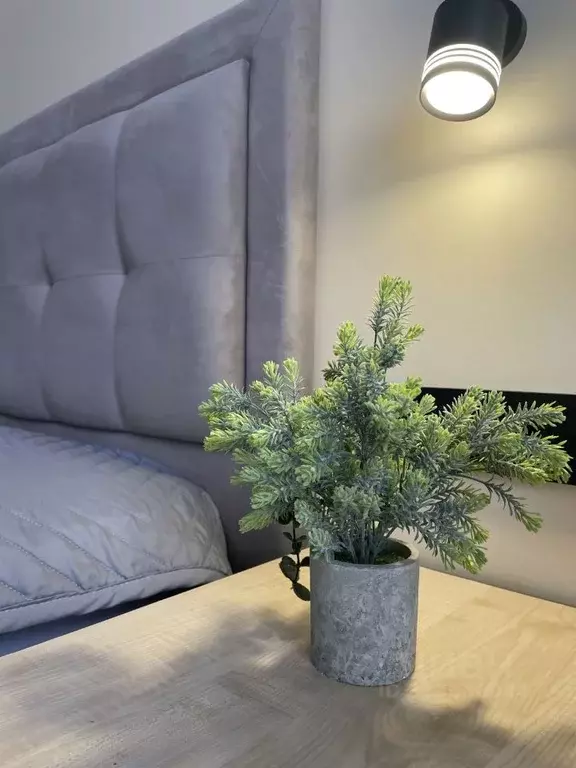 2-к кв. Иркутская область, Иркутск ул. Пушкина, 9 (50.0 м) - Фото 1