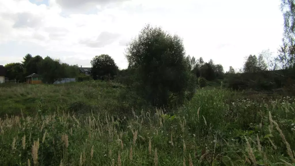 Участок в Московская область, Рузский муниципальный округ, д. Старо  ... - Фото 1