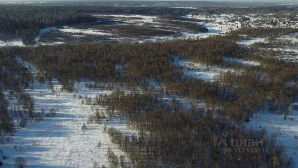 Участок в Московская область, Клин городской округ, Малахитовые дачи ... - Фото 1