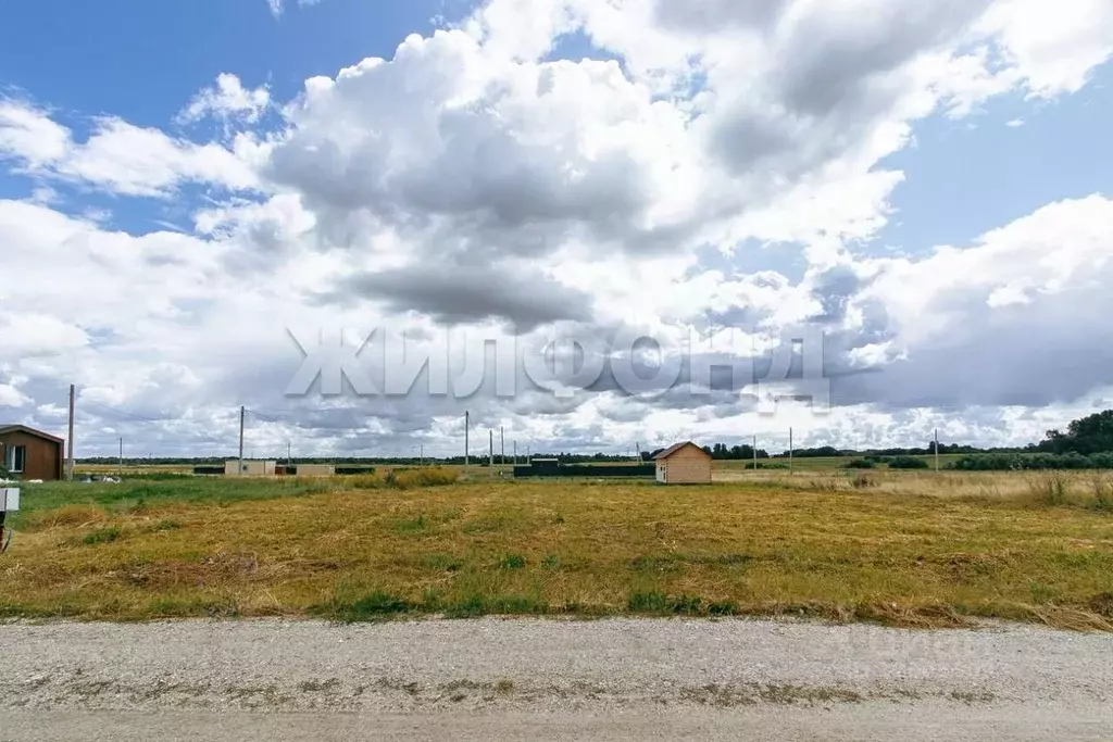 Участок в Новосибирская область, Новосибирский район, Толмачевский ... - Фото 1