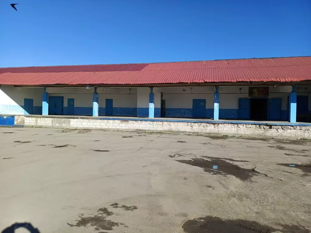 Склад в Новгородская область, Великий Новгород просп. Александра ... - Фото 2