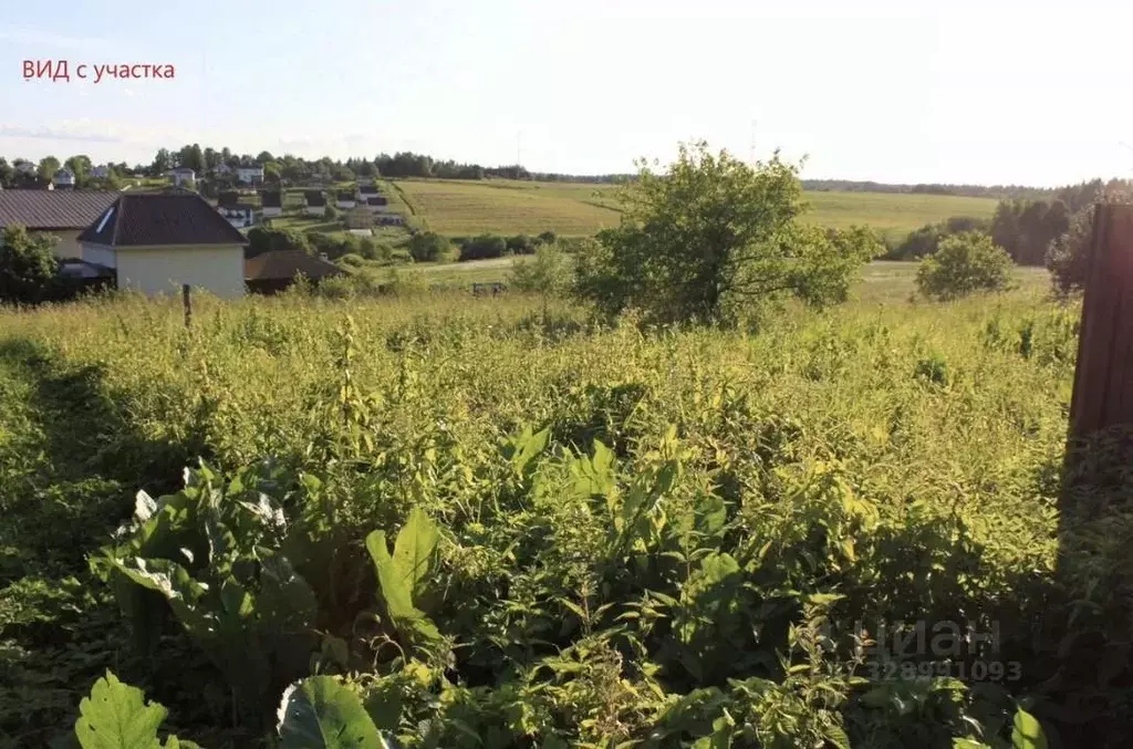 Участок в Московская область, Дмитровский муниципальный округ, д. ... - Фото 2