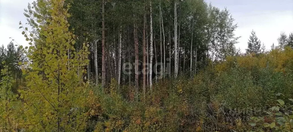 Участок в Коми, Сыктывкар городской округ, Верхняя Максаковка пгт 3-я ... - Фото 0