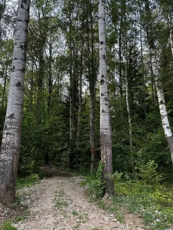 Участок в Москва д. Кукшево,  (8.0 сот.) - Фото 0