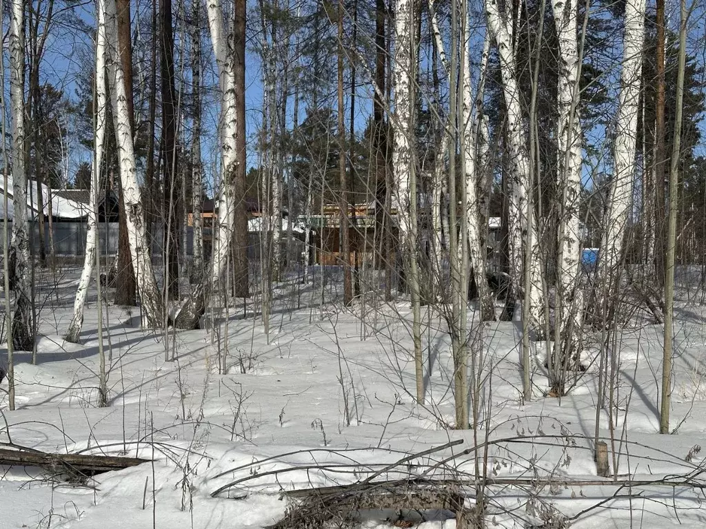 Участок в Иркутская область, Иркутский муниципальный округ, Ангарский ... - Фото 2