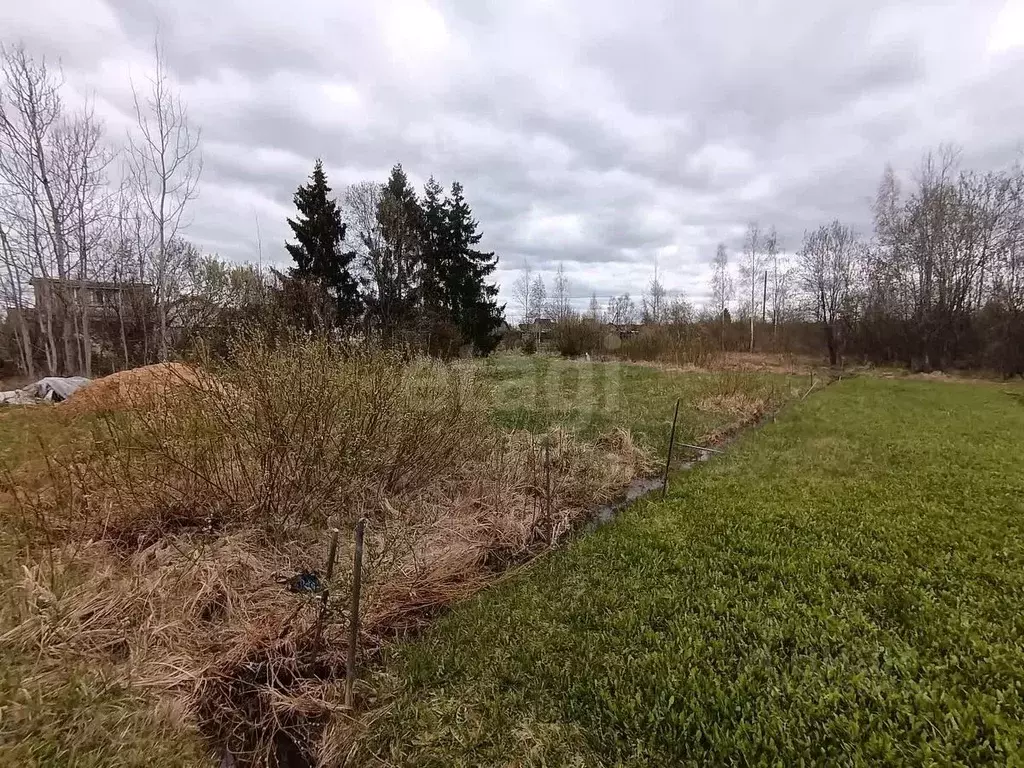 Участок в Ленинградская область, Киришский район, Кусинское с/пос, ... - Фото 2