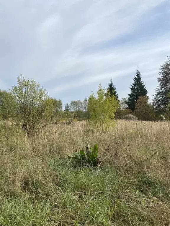 Участок в Московская область, Коломна городской округ, д. Жиливо ул. ... - Фото 2