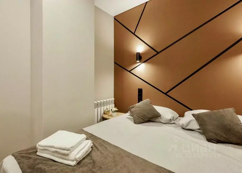 1-к кв. Татарстан, Казань ул. Карла Маркса, 5 (18.0 м) - Фото 1