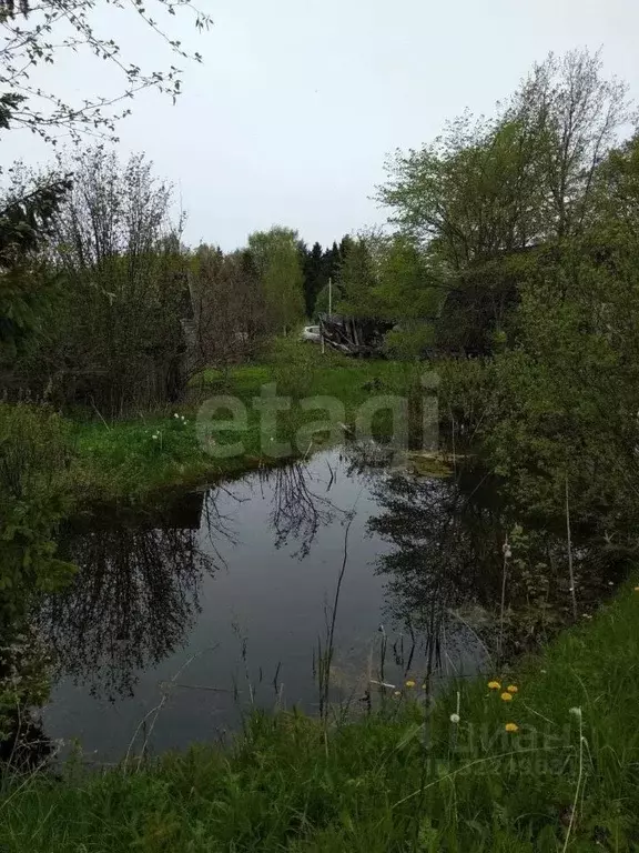Участок в Вологодская область, д. Шульгино  (29.0 сот.) - Фото 2