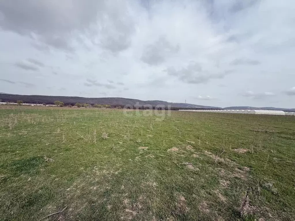 Участок в Краснодарский край, Новороссийск городской округ, Раевская ... - Фото 1