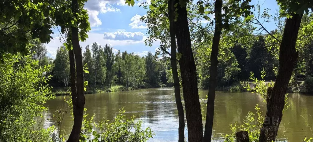 Участок в Московская область, Ступино городской округ, д. Кишкино ул. ... - Фото 1