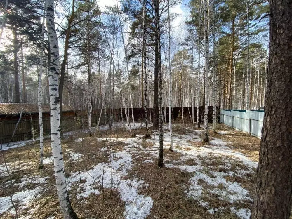 Участок в Иркутская область, Иркутский муниципальный округ, Жаворонки ... - Фото 1