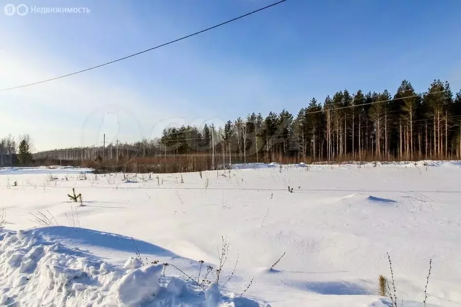 Участок в Тюменская область, Нижнетавдинский муниципальный округ, село ... - Фото 1