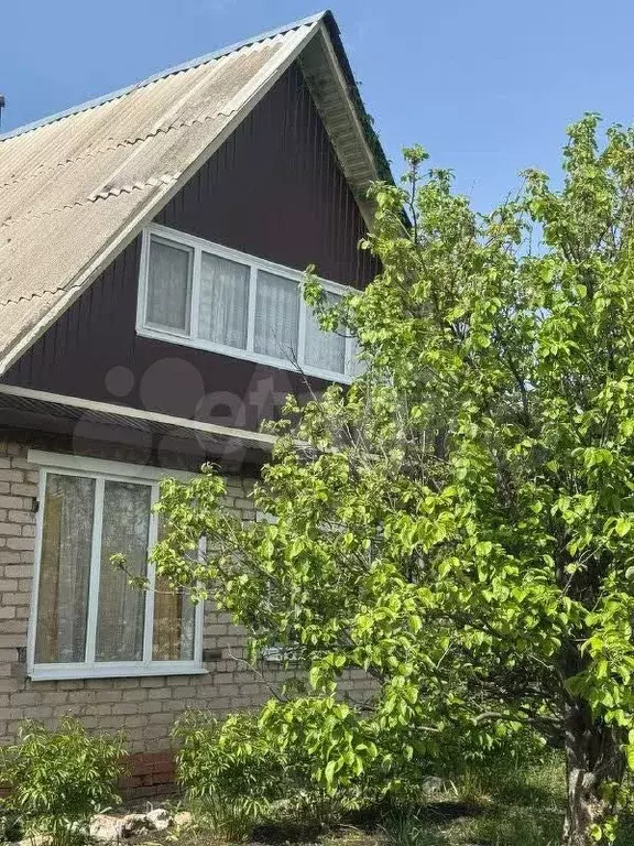 Дача 36 м на участке 5,51 га - Фото 0