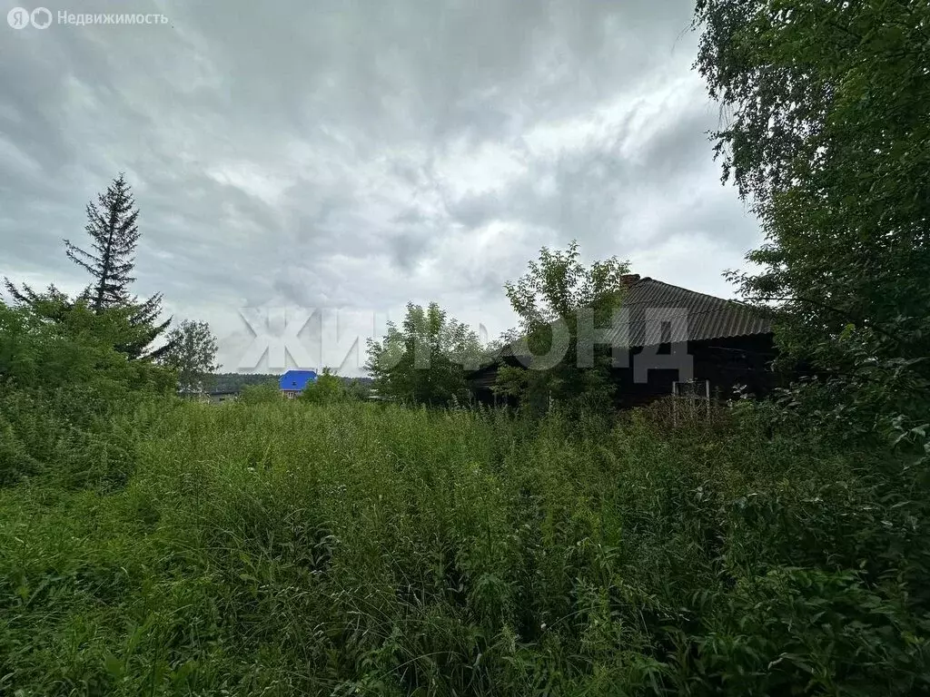 Дом в Барышево, улица Черняховского (45 м) - Фото 0