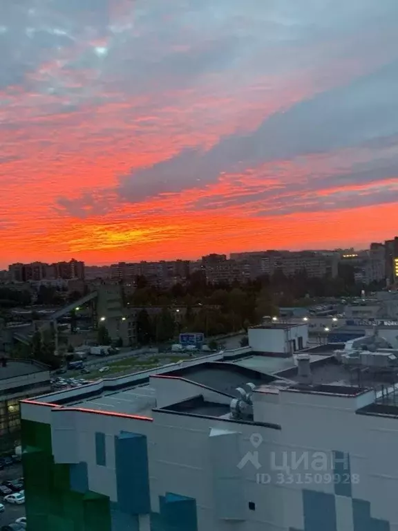 1-к кв. Санкт-Петербург ул. Крыленко, 1к1с4 (38.7 м) - Фото 2