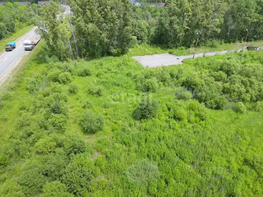 Участок в Хабаровский край, Хабаровский район, Мичуринское с/пос, с. ... - Фото 0