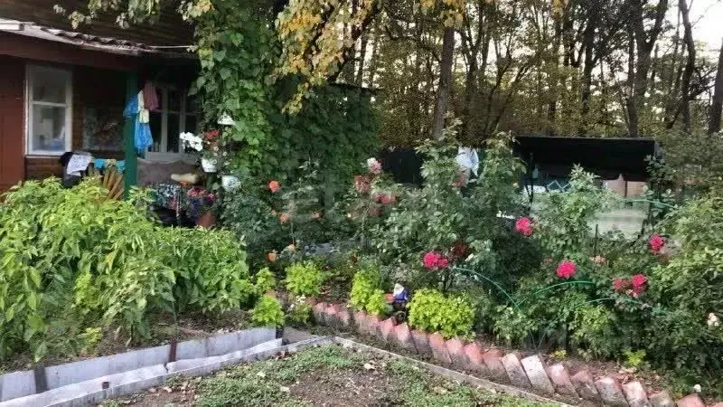 Дом в Хабаровский край, Хабаровский район, Целинник СНТ 18 (60 м) - Фото 1