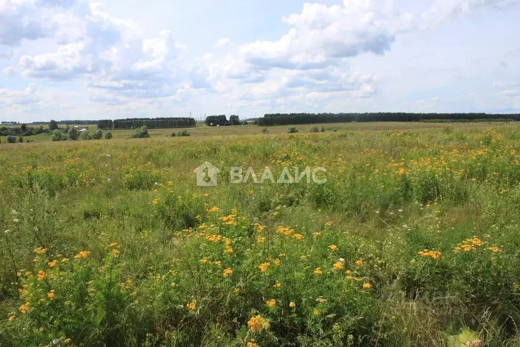 Участок в Нижегородская область, с. Дивеево ул. Некрасова (8.0 сот.) - Фото 1