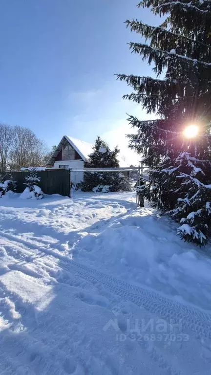 Дом в Ленинградская область, Лужский район, Мшинское с/пос, д. ... - Фото 2