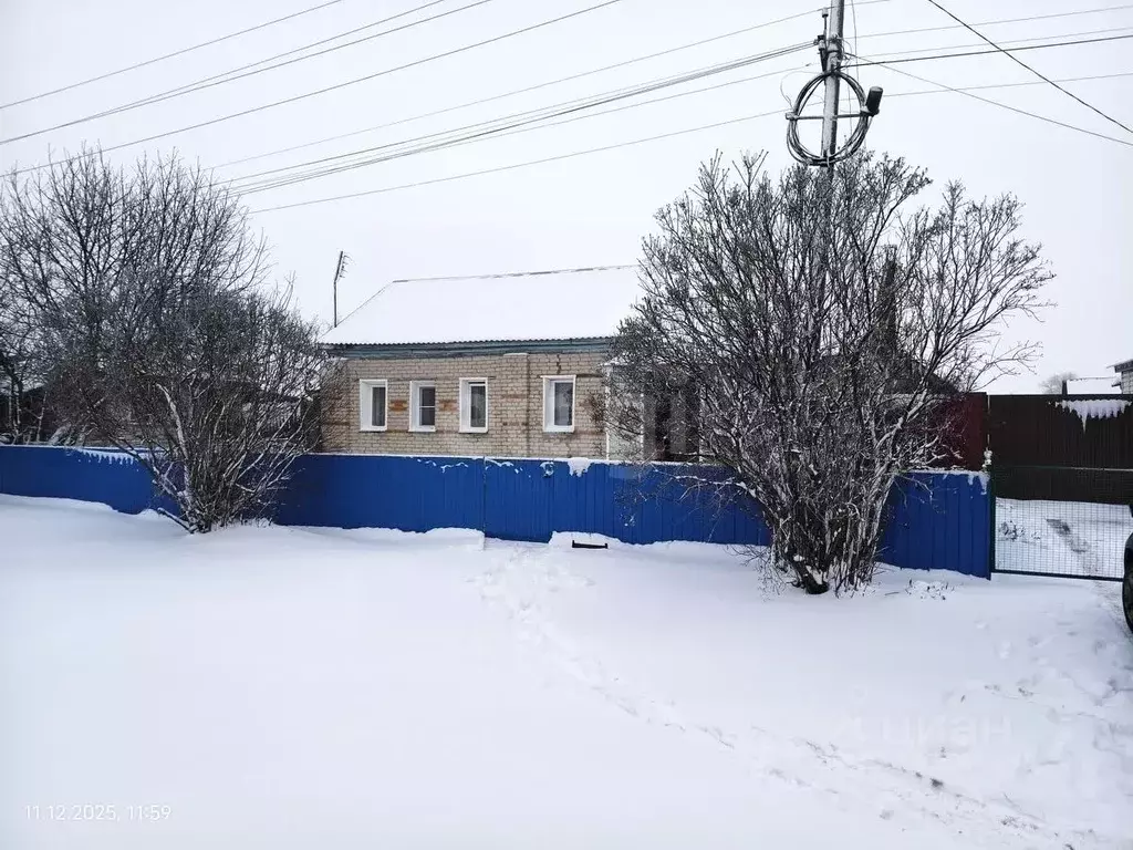 Дом в Воронежская область, Грибановский пгт ул. Советская, 348 (66 м) - Фото 2