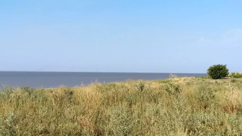 Участок в Краснодарский край, Щербиновский район, с. Николаевка ул. ... - Фото 1