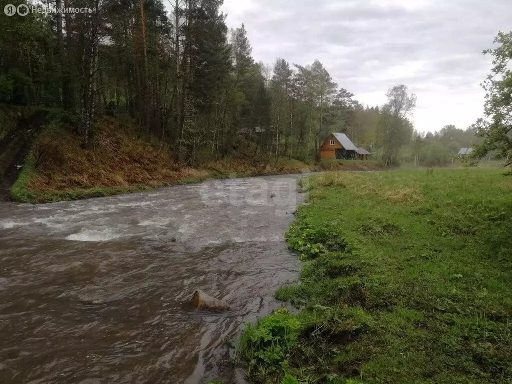 Участок в Чемальский район, Узнезинское сельское поселение, село ... - Фото 1