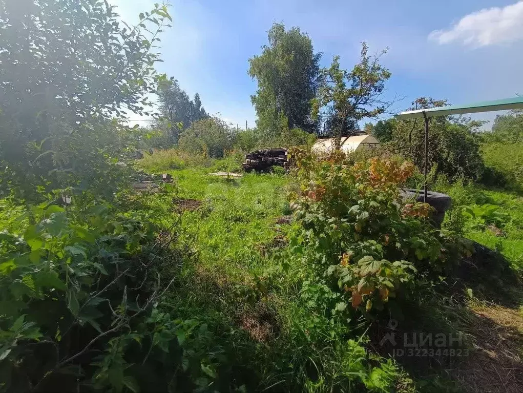 Дом в Свердловская область, Нижний Тагил ул. Дарвина (24 м) - Фото 1