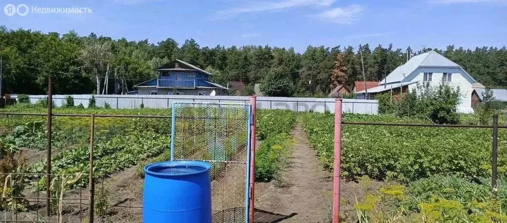 Участок в Алтайский край, городской округ Барнаул, посёлок Ягодное, ... - Фото 2