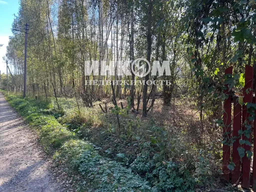 Участок в Московская область, Рузский муниципальный округ, Меркурий ... - Фото 1