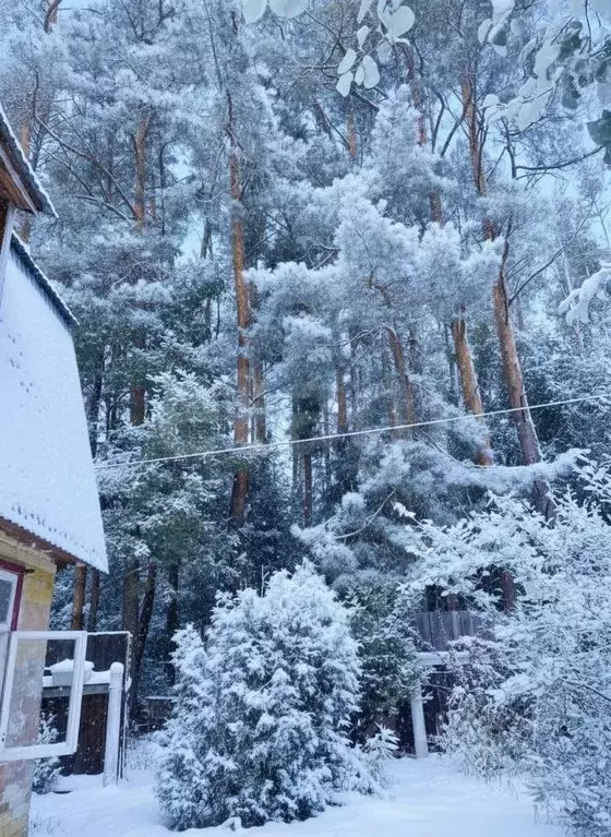 Дом в Татарстан, Казань Домостроитель СНТ, 13 (55 м) - Фото 1