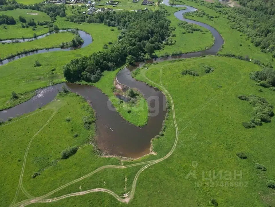 Участок в Костромская область, Красносельский район, Шолоховское ... - Фото 2