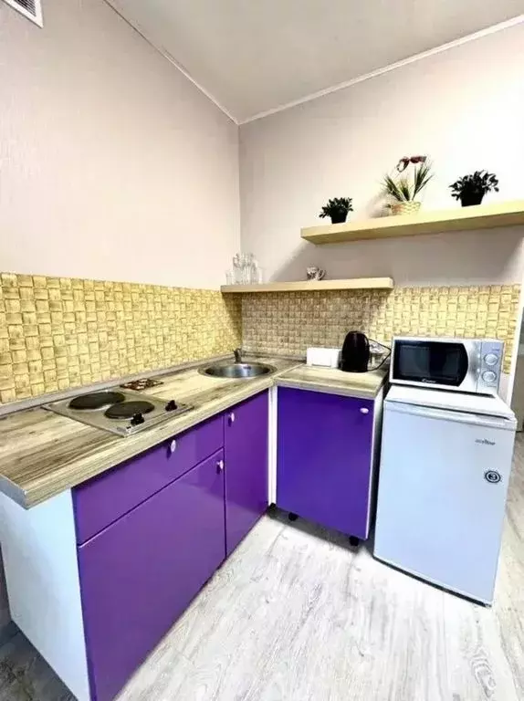 1-к кв. Татарстан, Казань просп. Победы, 90 (27.0 м) - Фото 2