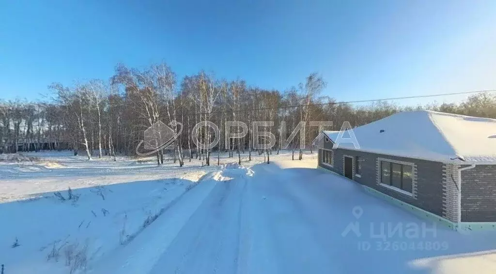 Участок в Тюменская область, Тюменский муниципальный округ, с. Луговое ... - Фото 2