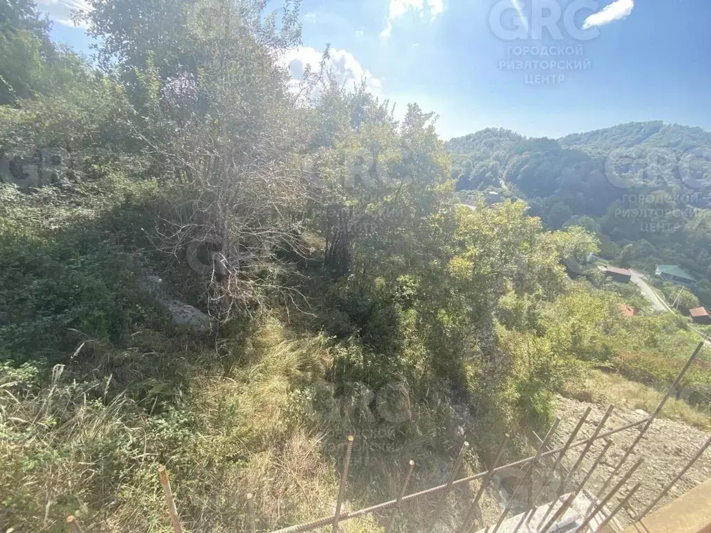 Участок в Краснодарский край, Сочи городской округ, с. Красная Воля ... - Фото 2